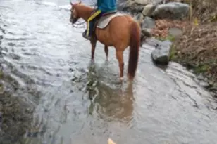 3172 Carobeth Dr, Tobyhanna, PA 18466 - Photo 31