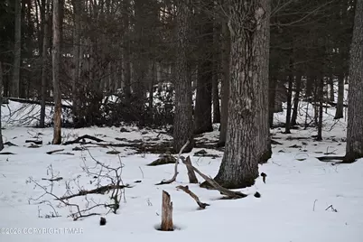  1121 Broken Ski Road, Henryville, PA 18332 - Photo 1