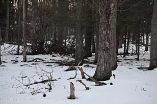 1121 Broken Ski Rd, Henryville, PA 18332 - Photo 1