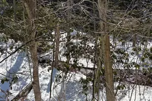 158 Ridge Dr, Tannersville, PA 18372 - Photo 27