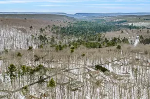 3143 Bear Swamp Rd, East Stroudsburg, PA 18302 - Photo 69