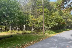 Chippewa Trail, Albrightsville, PA 18210 - Photo 11