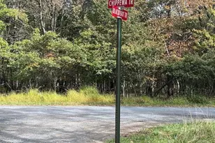 Chippewa Trail, Albrightsville, PA 18210 - Photo 5