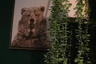 31 Seneca Rd, Mount Pocono, PA 18344 - Photo 49