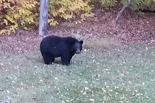 1769 Stag Run, Pocono Lake, PA 18347 - Photo 49