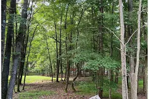 226 Summit Dr, Albrightsville, PA 18210 - Photo 19