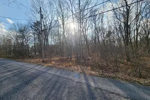 Lot G489 Panther Run Rd, Jim Thorpe, PA 18229 - Photo 3