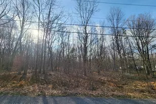 Lot G489 Panther Run Rd, Jim Thorpe, PA 18229 - Photo 5