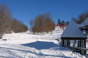 3314 Windermere Dr, Bushkill, PA 18324 - Photo 79