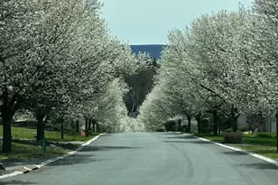 1733 Big Ridge Dr, East Stroudsburg, PA 18302 - Photo 47