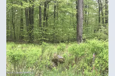  Lr 45039 68, Pocono Lake, PA 18347 - Photo 5