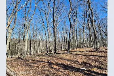  Sunlight Dr 11, Henryville, PA 18332 - Photo 5