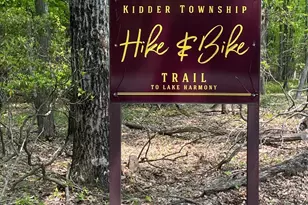 35 Falcon Run, Lake Harmony, PA 18624 - Photo 43