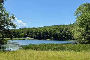459 Pocono Blvd, Bushkill, PA 18324 - Photo 55