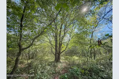 [Address not provided], Blakeslee, PA 18610 - Photo 7