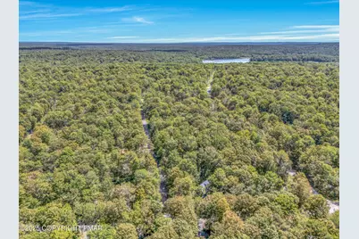  133 Minisink Drive, Pocono Lake, PA 18347 - Photo 43