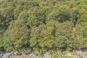 133 Minisink Dr, Pocono Lake, PA 18347 - Photo 39