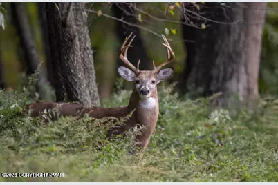  10 Wildwood Terrace, Lake Ariel, PA 18436 - Photo 1