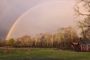 3318 Spruce Cabin Rd, Cresco, PA 18326 - Photo 83