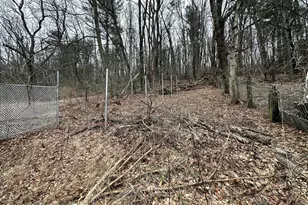 531 Peacock St, Pottsville, PA 17901 - Photo 7