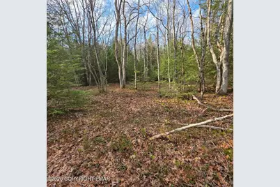  Snowy Ridge, Jim Thorpe, PA 18229 - Photo 25