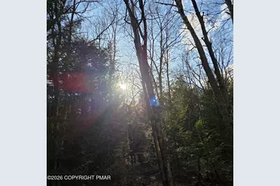  Snowy Ridge, Jim Thorpe, PA 18229 - Photo 23