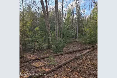  Snowy Ridge, Jim Thorpe, PA 18229 - Photo 21