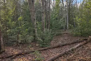 Snowy Ridge, Jim Thorpe, PA 18229 - Photo 21