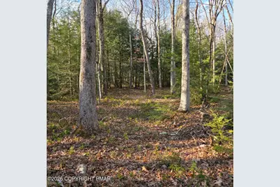  Snowy Ridge, Jim Thorpe, PA 18229 - Photo 3