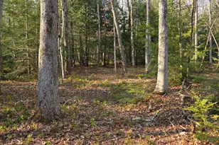 Snowy Ridge, Jim Thorpe, PA 18229 - Photo 3