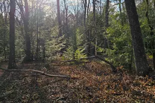 Snowy Ridge, Jim Thorpe, PA 18229 - Photo 13