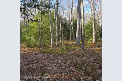  Snowy Ridge, Jim Thorpe, PA 18229 - Photo 9