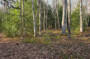 Snowy Ridge, Jim Thorpe, PA 18229 - Photo 9