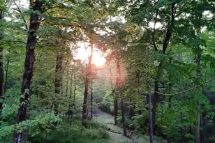 170 Eagle Pass Rd, Henryville, PA 18326 - Photo 3