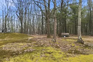 239 Sundance Rd, Effort, PA 18330 - Photo 49