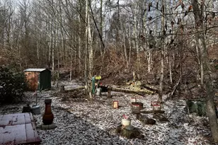 255 Buck Fever Trail, Scotrun, PA 18355 - Photo 5