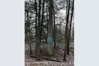  255 Buck Fever Trail, Scotrun, PA 18355 - Photo 27