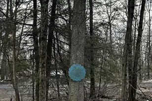 255 Buck Fever Trail, Scotrun, PA 18355 - Photo 27