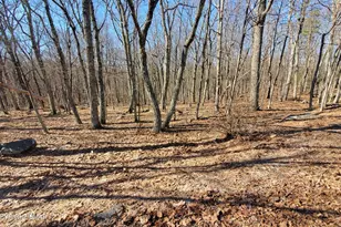 Lot 155 Cardinal Dr, Bushkill, PA 18324 - Photo 1