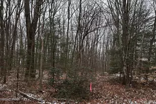 Black Bear Pass, White Haven, PA 18661 - Photo 1