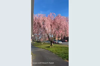  947 N Warren Street, Pottstown, PA 19464 - Photo 3