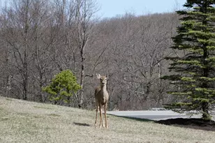 8 Kickapoo Dr, Hazle Township, PA 18202 - Photo 91