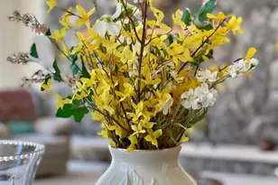 8 Kickapoo Dr, Hazle Township, PA 18202 - Photo 15