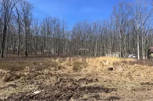 Lot 132 Woodcrest Ave, Effort, PA 18330 - Photo 1