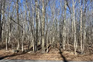 Lot 21 Pocono Forested Dr, East Stroudsburg, PA 18302 - Photo 1