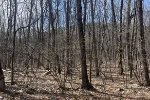 E Creek Dr, Lehighton, PA 18235 - Photo 3