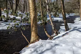 159 S Lehigh River Dr, Covington Township, PA 18424 - Photo 7