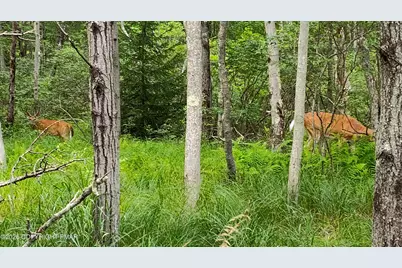  158 Overlook Dr 158 Drive, East Stroudsburg, PA 18301 - Photo 1