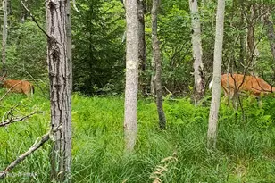 158 Overlook Dr 158 Dr, East Stroudsburg, PA 18301 - Photo 1