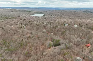 361 Birch Dr, Blakeslee, PA 18610 - Photo 65